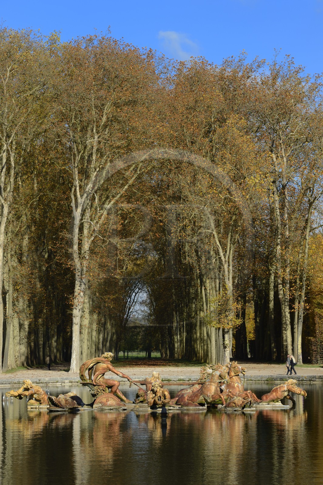 France, Yvelines (78), parc du château de Versailles, classé Patrimoine Mondial de l'UNESCO, le bassin d' Apollon