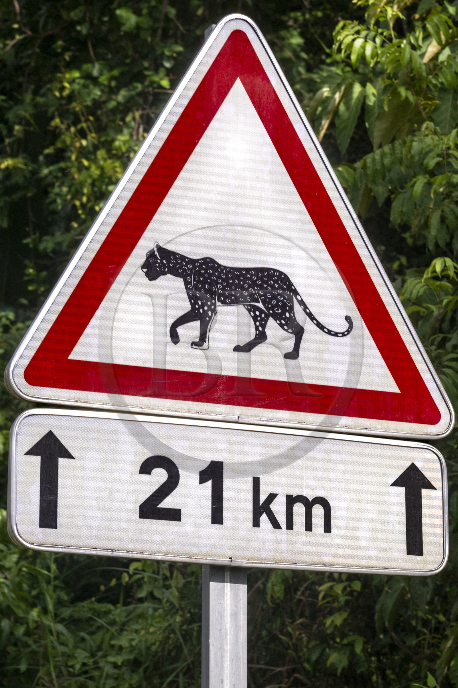 France, French Guiana, Kourou, Guiana Space Centre (Centre spatial guyanais, CSG) also called Europe's Spaceport, road signs on the Space Road warning of the potential crossing of jaguars
