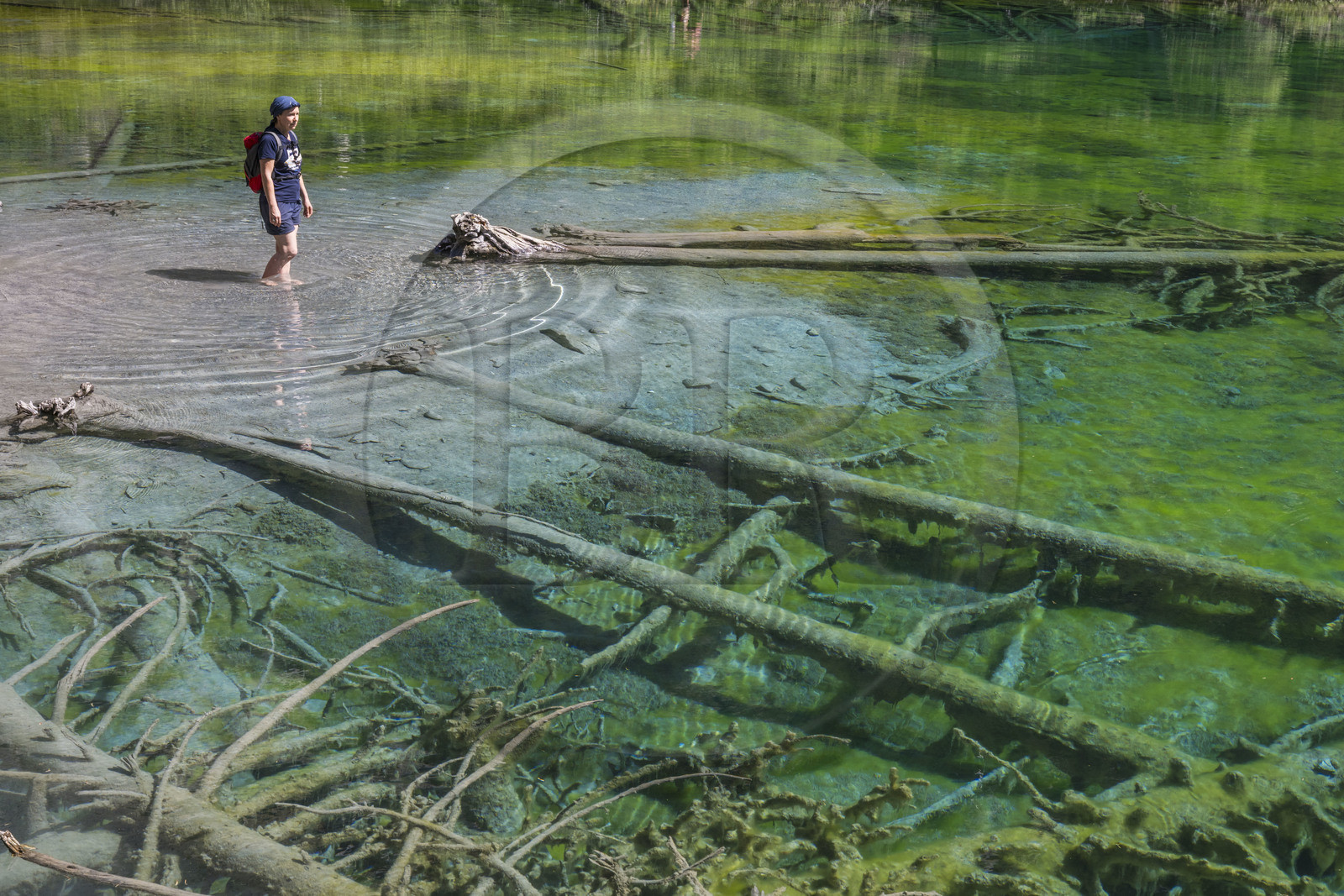 France, Hautes Alpes, Nevache, the Vallée Etroite (Narrow Valley) on the Italian border, Green Lake (alt. 1834 m)