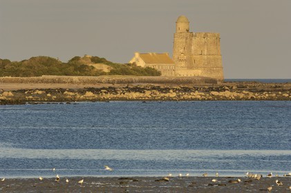 France, Manche (50), Val de Saire, région de Saint-Vaast-la-Hougue, son fort Vauban classé Patrimoine Mondial de l'UNESCO de l'Ilet Vauban sur l'Ile de Tatihou