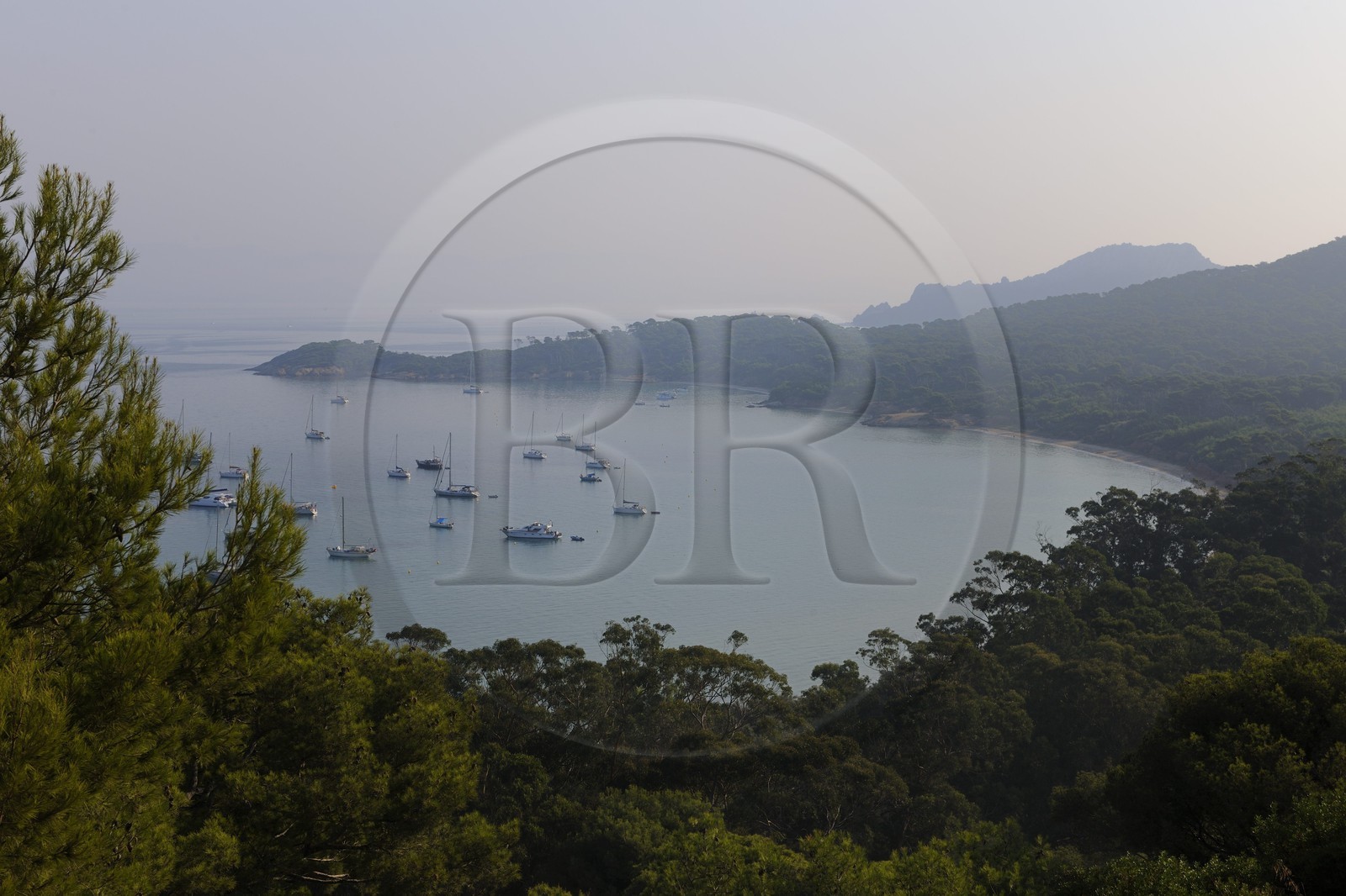 France, Var, Iles d'Hyeres, National Park of Port Cros, ile de Porquerolles, the Courtade beach