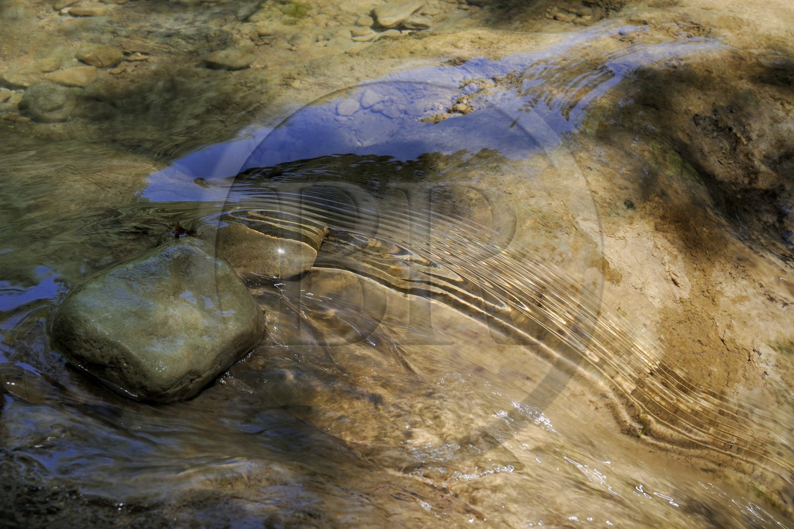France, Var, Provence Verte, Tourves, the Caramy river in the Caramy Gorge