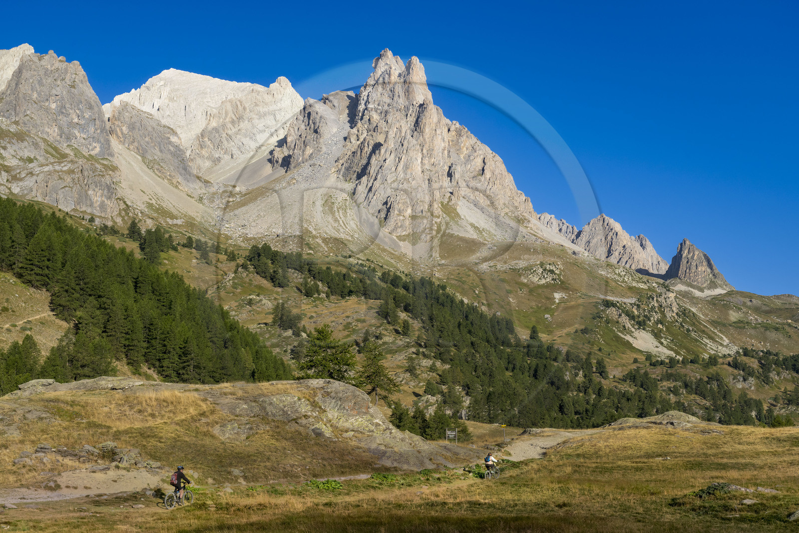France, Hautes Alpes (05), le Briançonnais, Névache, cyclistes en VTT dans la vallée de la Clarée, le massif des Cerces et les pointes de la Main de Crépin (2942m) en arrière-plan