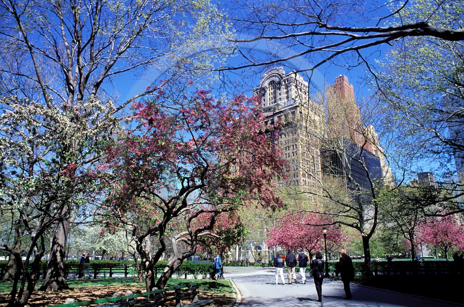 Etats-Unis, New York, Manhattan, Lower Manhattan Battery park