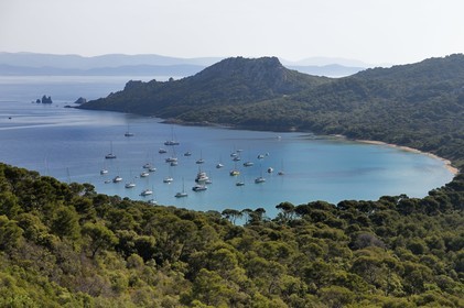 France, Var (83), Iles d'Hyères, parc national de Port Cros, Ile de Porquerolles, la Baie de l'Alycastre et le Cap des Mèdes en arrière-plan