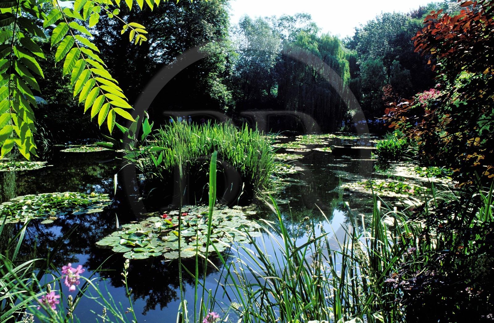 France, Eure (27), Giverny, le jardin de Claude Monet