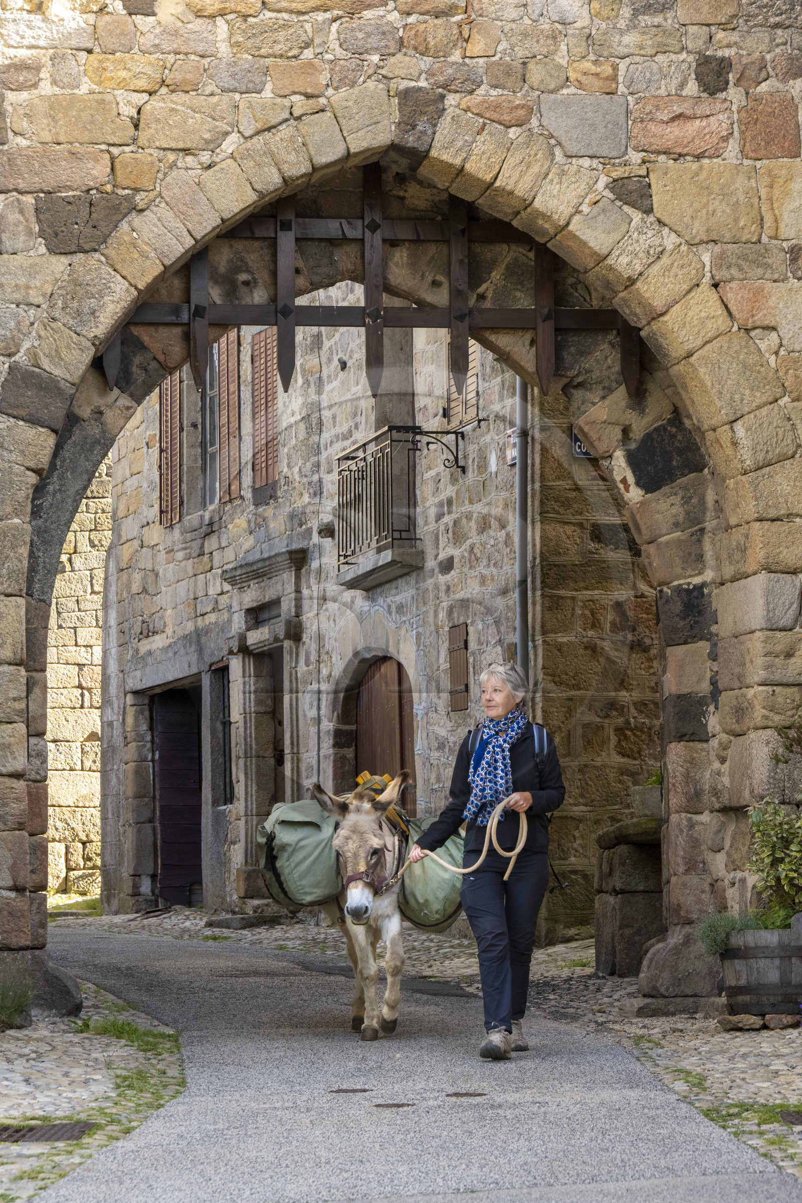 France, Haute-Loire (43), Pradelles, labelled Les Plus Beaux Villages de France (The Most Beautiful Villages of France), hiking with a donkey on the Robert Louis Stevenson Trail (GR 70) under the Besset portcullis gate