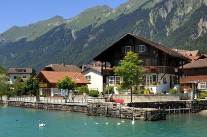 Suisse, Canton de Berne, Oberland Bernois, lac de Brienz (Brienzer See), port du village de Brienz