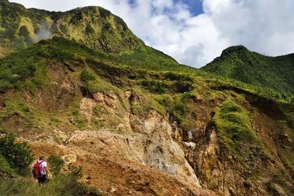 Caraïbes, Ile de la Dominique, Castle Bruce, Parc national du Morne Trois Pitons classé Patrimoine Mondial de l'UNESCO, la Vallée de la Désolation, randonnée sur le sentier menant au Boiling Lake