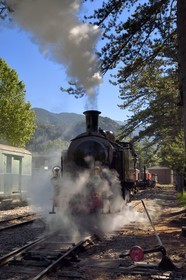 France, Alpes-Maritimes, Puget Theniers, the Train des Pignes historic train enters the station