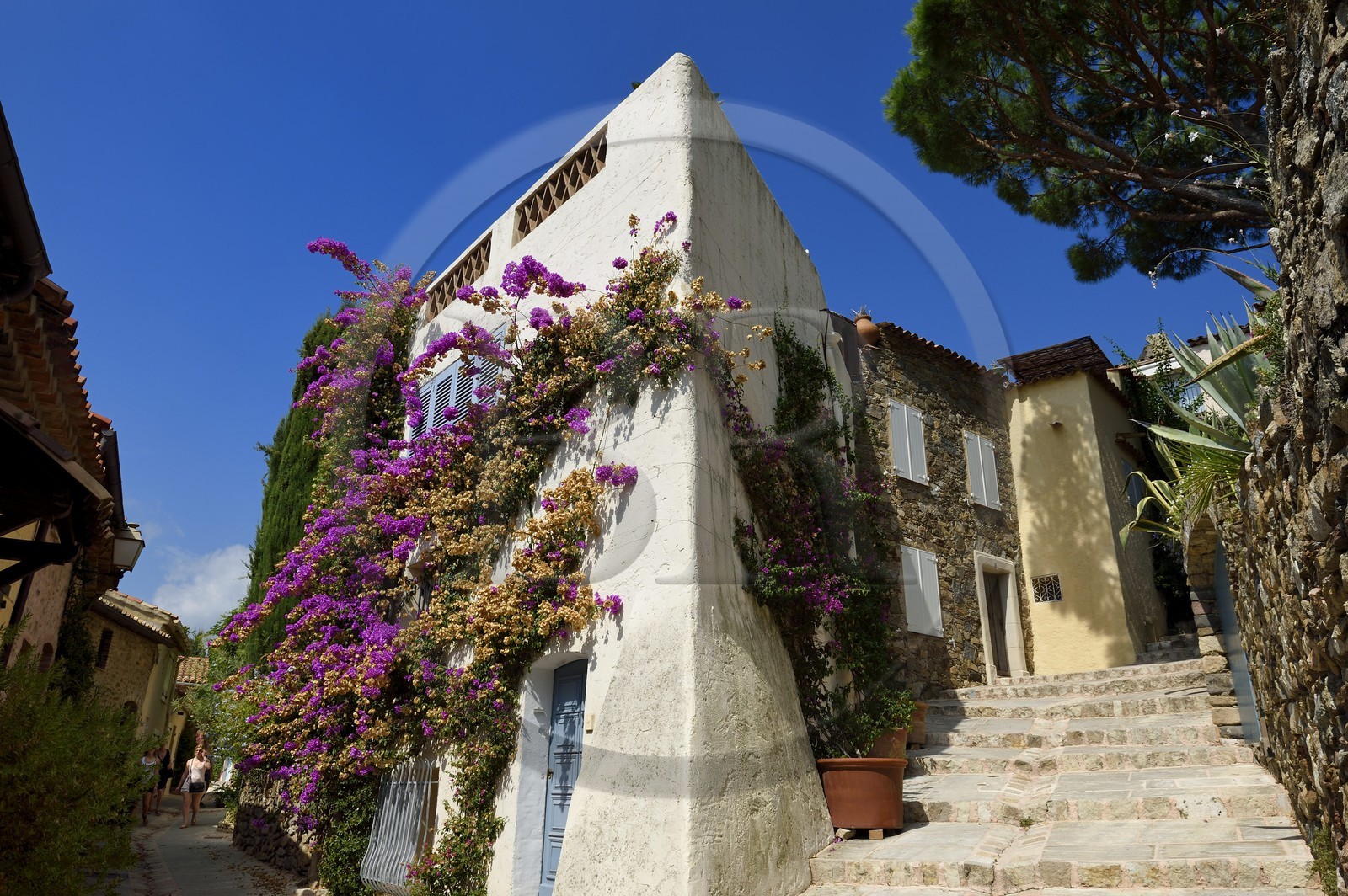 France, Var (83), Grimaud, rue de la Treille