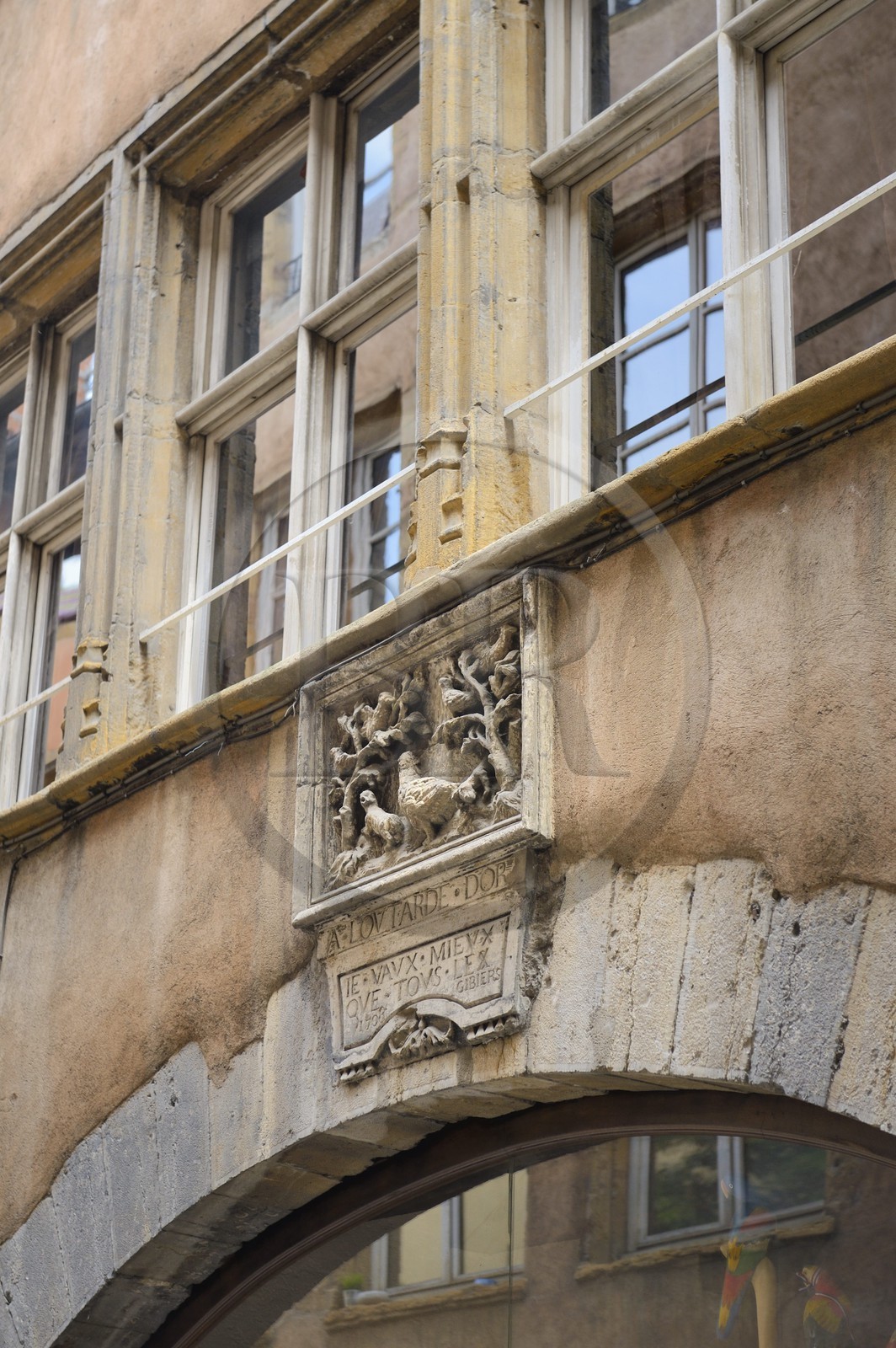 France, Rhone, Lyon, historical site listed as World Heritage by UNESCO, Vieux Lyon (Old Town), maison de L'outarde d'or at 19 rue du Boeuf, originally sign of a poulterer