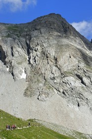 France, Alpes de Haute Provence, Uvernet Fours, Mercantour National Park, Ubaye valley, Cayolle pass (2326 m), hiking trail that climbs through the alpine lawn on the lake tour under the mountain top of the Eagle Hole