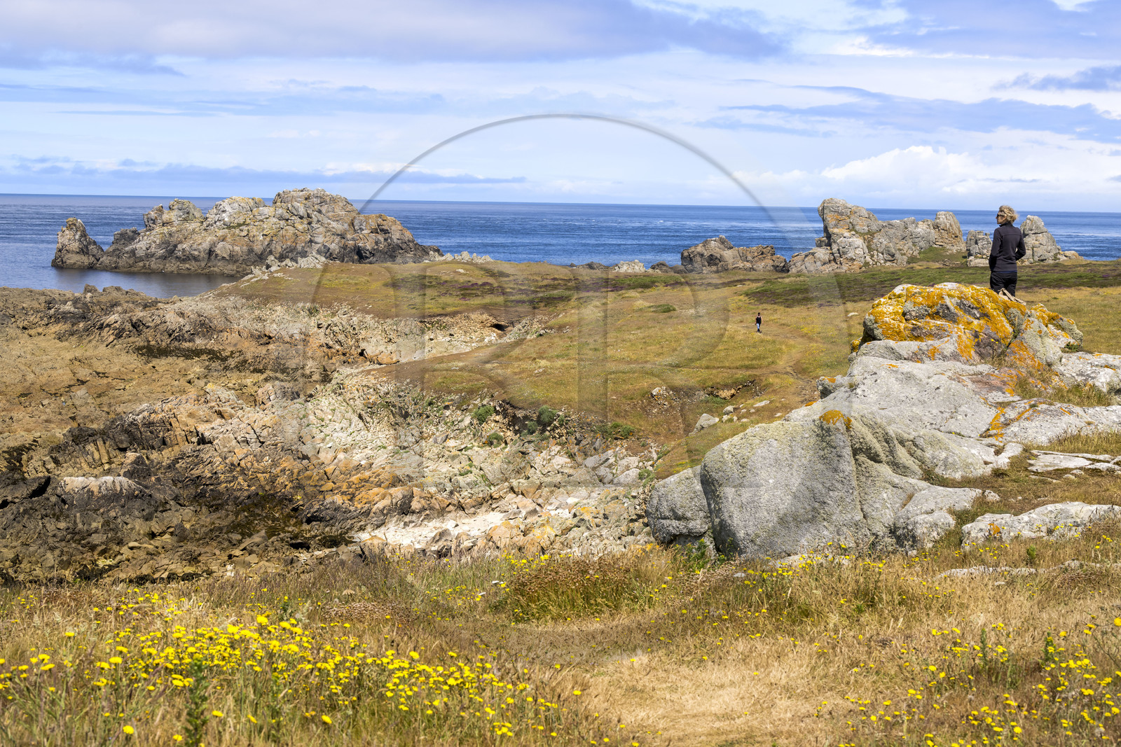 France, Finistère (29), Mer d'Iroise, Ile d'Ouessant, la cote dechiquetée et les rochers de la cote Nord