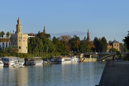 Espagne, Andalousie, Séville, en bordure du fleuve Guadalquivir, la Tour de l'Or (Torre del Oro), ancienne tour d'observation militaire construite au début du XIIIe siècle reconvertie en musée maritime