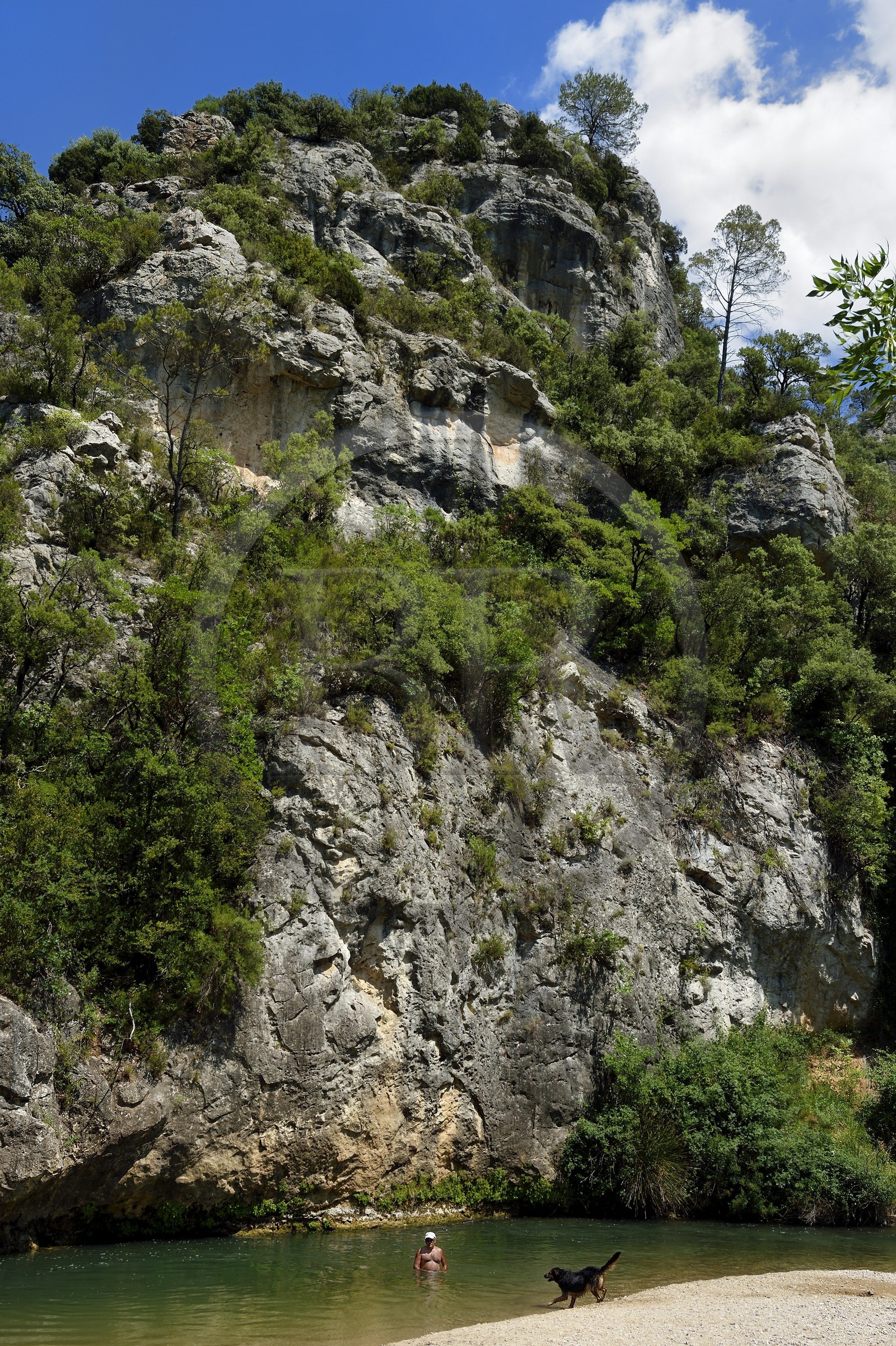 France, Var (83), Provence Verte, entre les villages de Correns et Châteauvert, les gorges du Vallon Sourn, le fleuve Argens