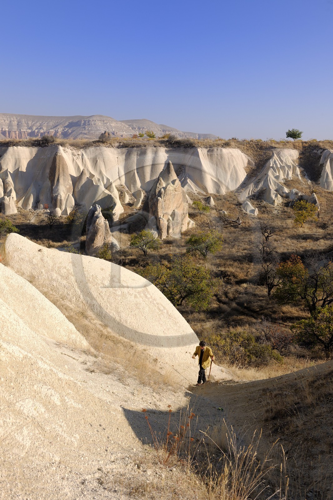 Turquie, Anatolie Centrale, province de Nevsehir, Cappadoce classée Patrimoine Mondial de l'UNESCO, phénomènes d'érosions aux environs de Göreme