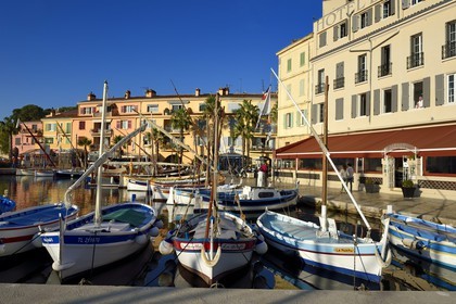 France, Var (83), Sanary-sur-Mer, barques traditionnelles de peche appelées pointus sur le port