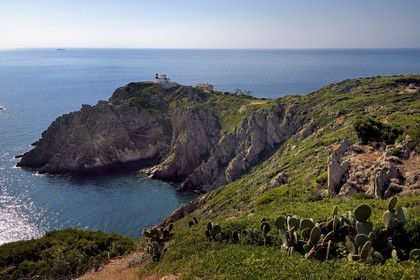 France, Var, Iles d'Hyeres, Parc national de Port Cros (National park of Port Cros), Le Levant island, military zone, the Titan lighthouse and port