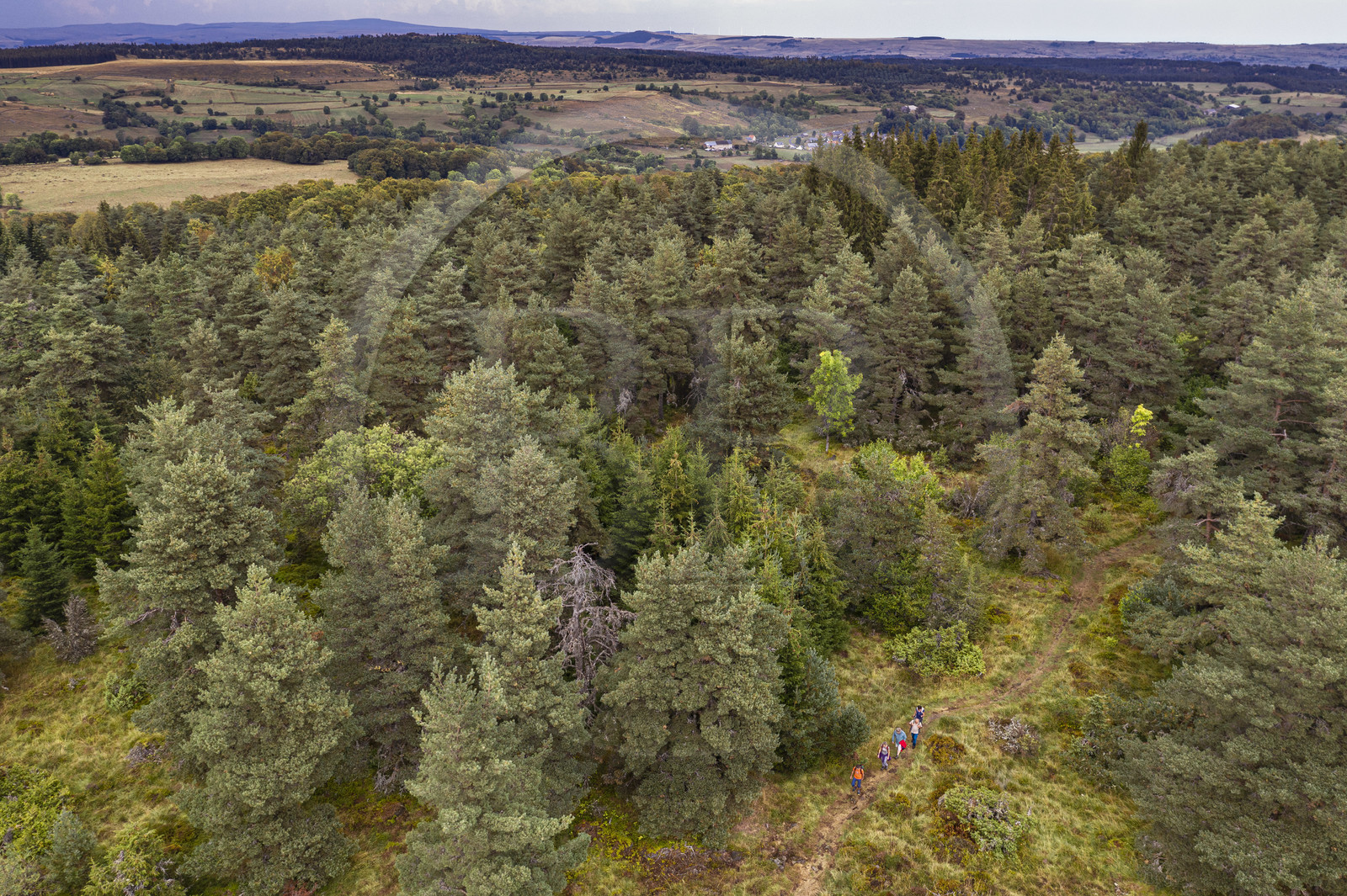 France, Cantal (15), Parc Naturel Régional des Volcans d'Auvergne, entre le bois de Chavagnac et le plateau de Chastel-sur-Murat, randonneurs sur le chemin de Saint-Jacques de Compostelle par la Via Arverna (vue aérienne)
