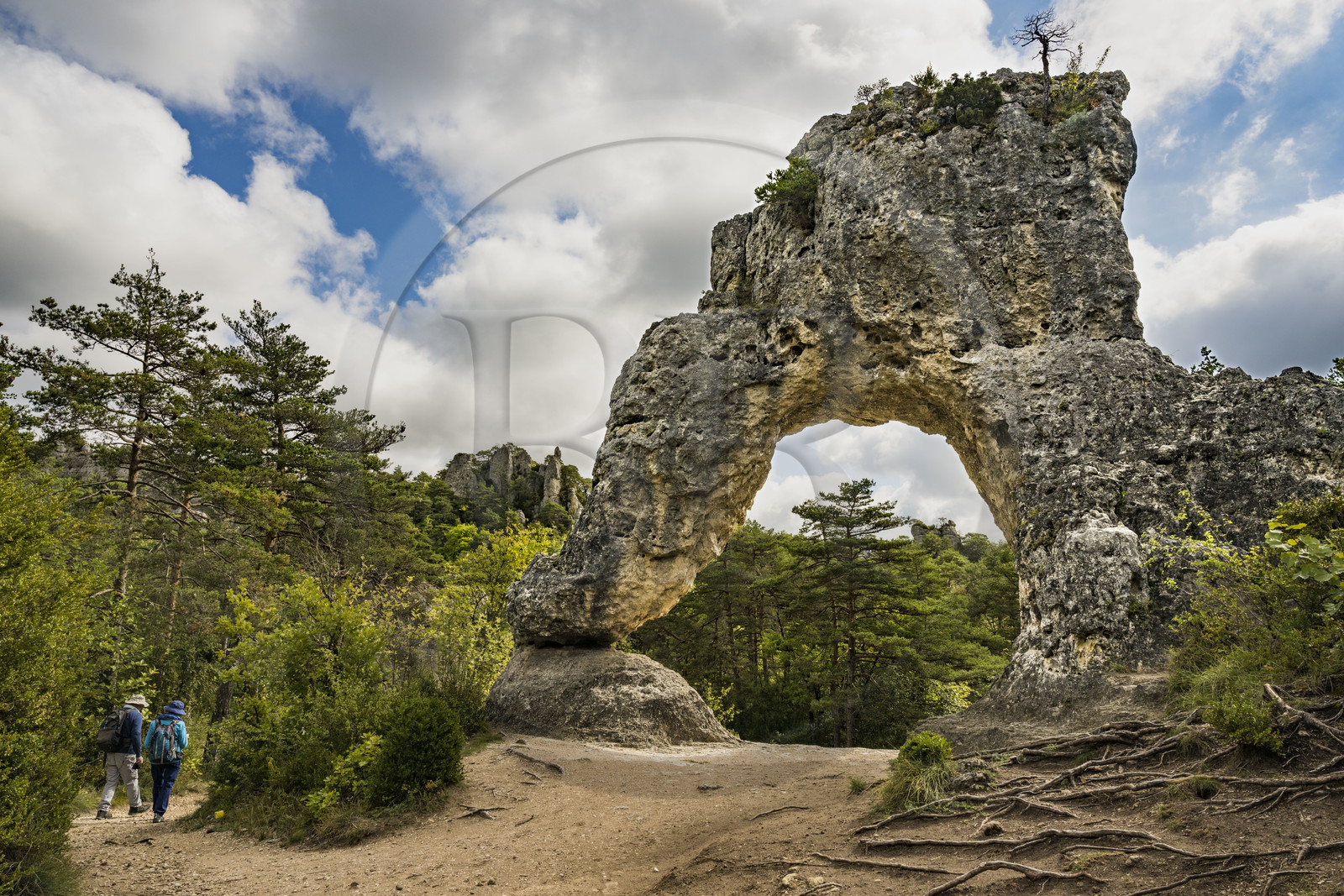 France, Aveyron (12), Causses et les Cévennes, paysage culturel de l'agro-pastoralisme méditerranéen, classés Patrimoine Mondial de l'UNESCO, Causse Noir, La Roque-Sainte-Marguerite, chaos de Montpellier-le-Vieux, la Cité de Pierres, rocher nommé Porte de Mycènes