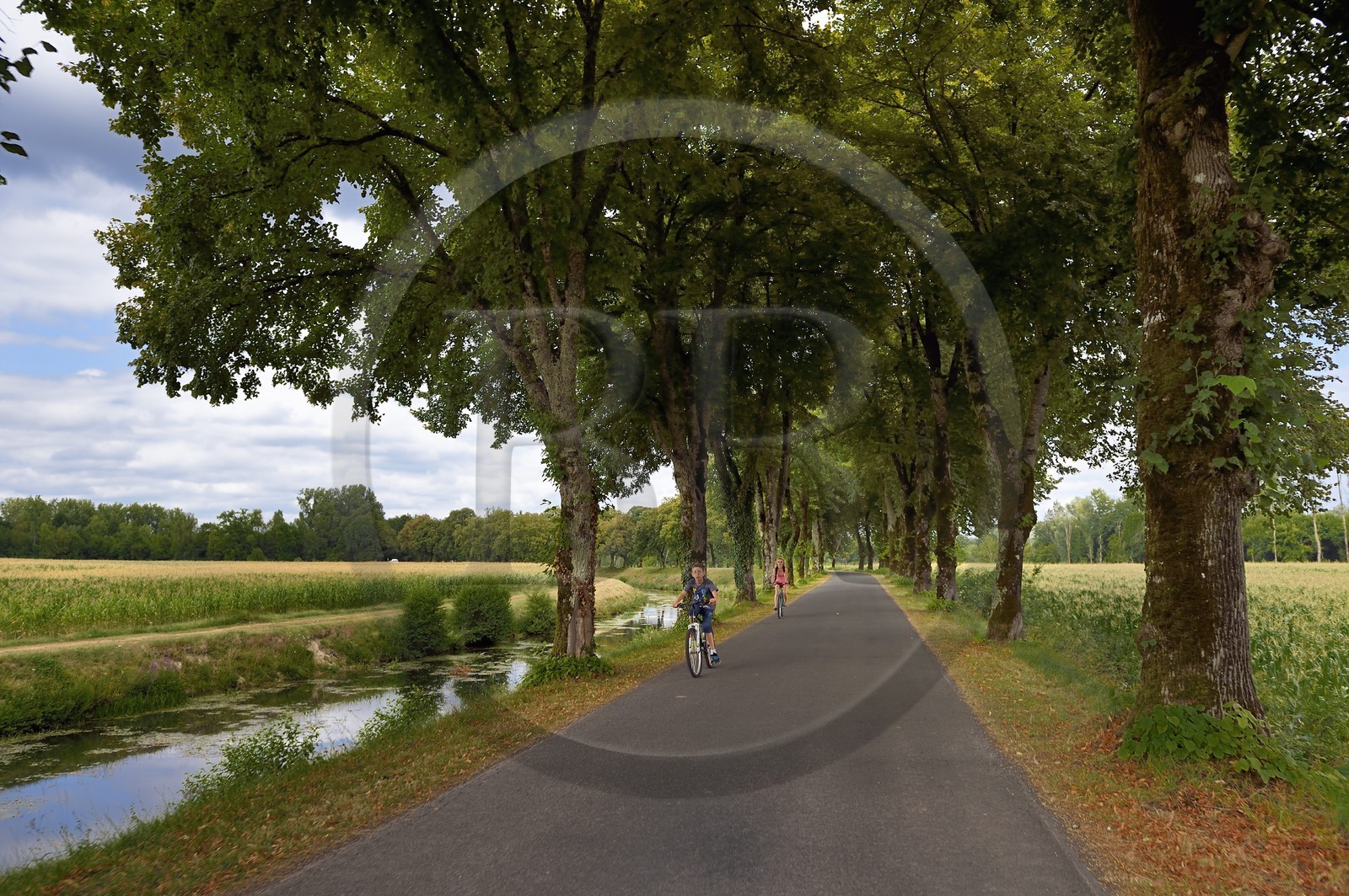 France, Dordogne (24), Périgord Blanc, Annesse-et-Beaulieu, la Véloroute Voie verte qui longe la partie canalisée de la rivière L'Isle