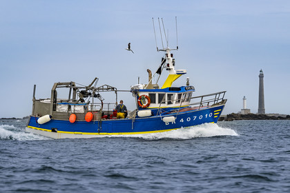 France, Finistère (29), Pays des Abers, estuaire de l'Aber Wrac'h, bateau de pêche et le phare de l'Ile Vierge en arrière plan