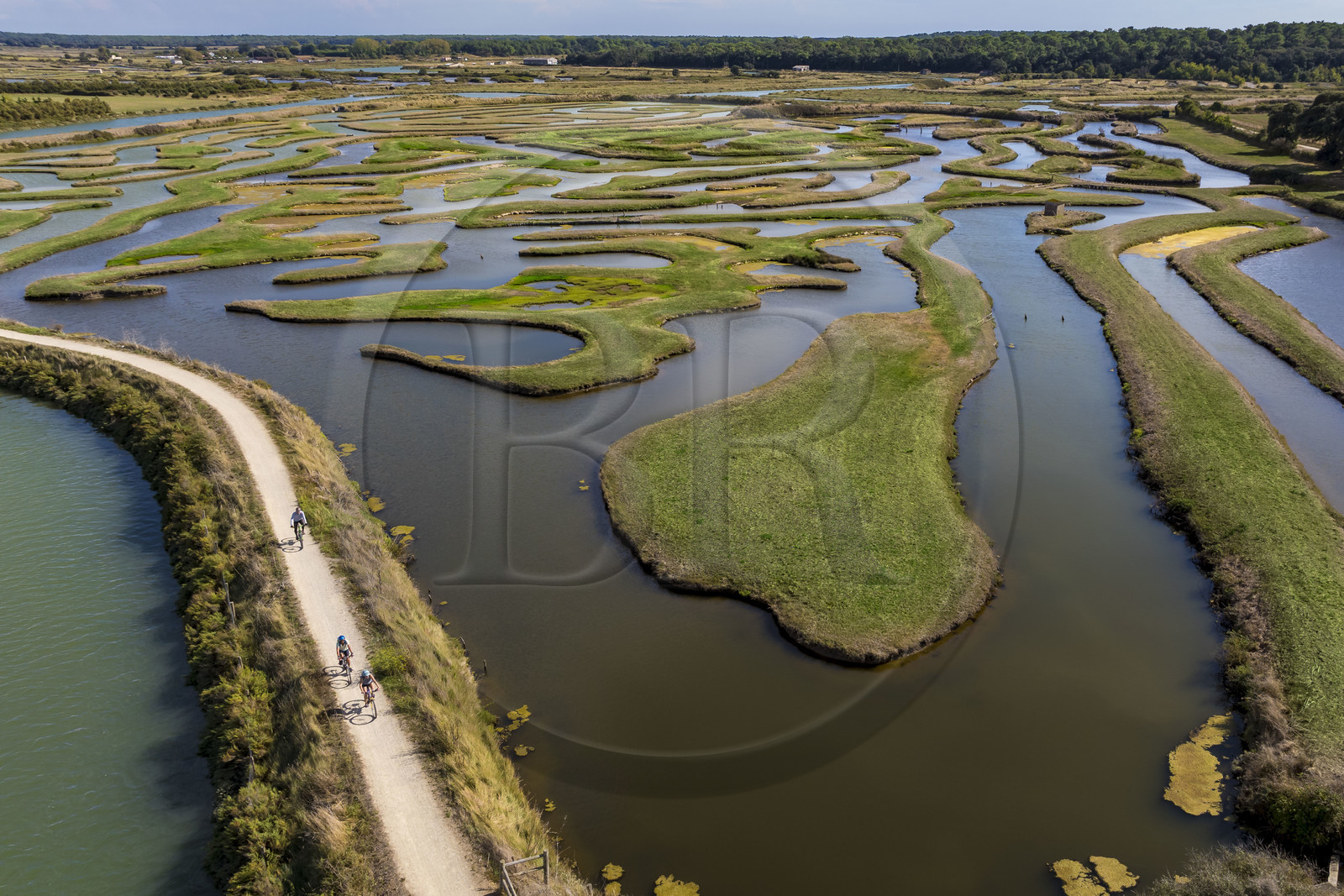 France, Vendée (85), Talmont-Saint-Hilaire, marais de la Guittière dans l'arrière pays de la Pointe du Payré, passage du Cul d’Ane, marais aménagés pour la pisciculture de dorades, mulets et anguilles (vue aérienne)