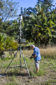 France, Alpes-Maritimes (06), Antibes, Le Jardin Botanique de la Villa Thuret (rattachée à l'INRAE), labellisé Jardin Remarquable et Arbre Remarquable, enregistrement et lecture des données scientifiques des capteurs attachés aux arbres sur le terrain