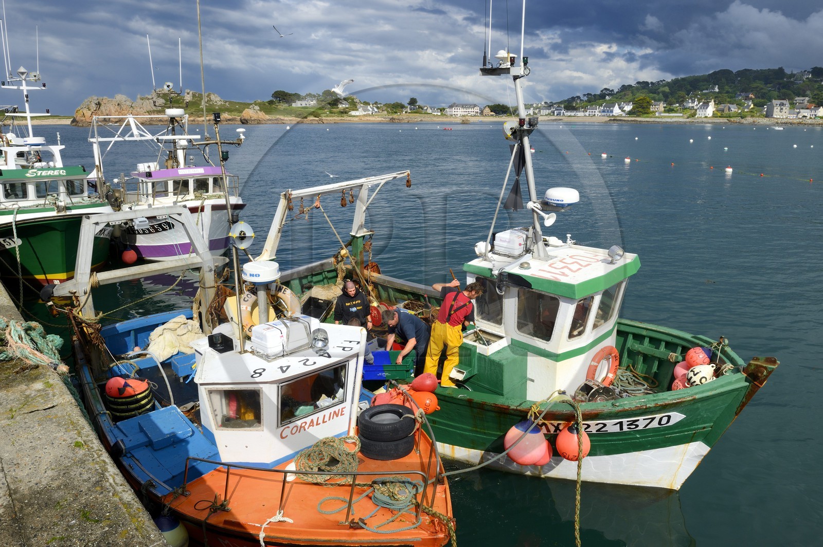 France, Finistere, Plougasnou,  trawlers returning from fishing in the port of Diben