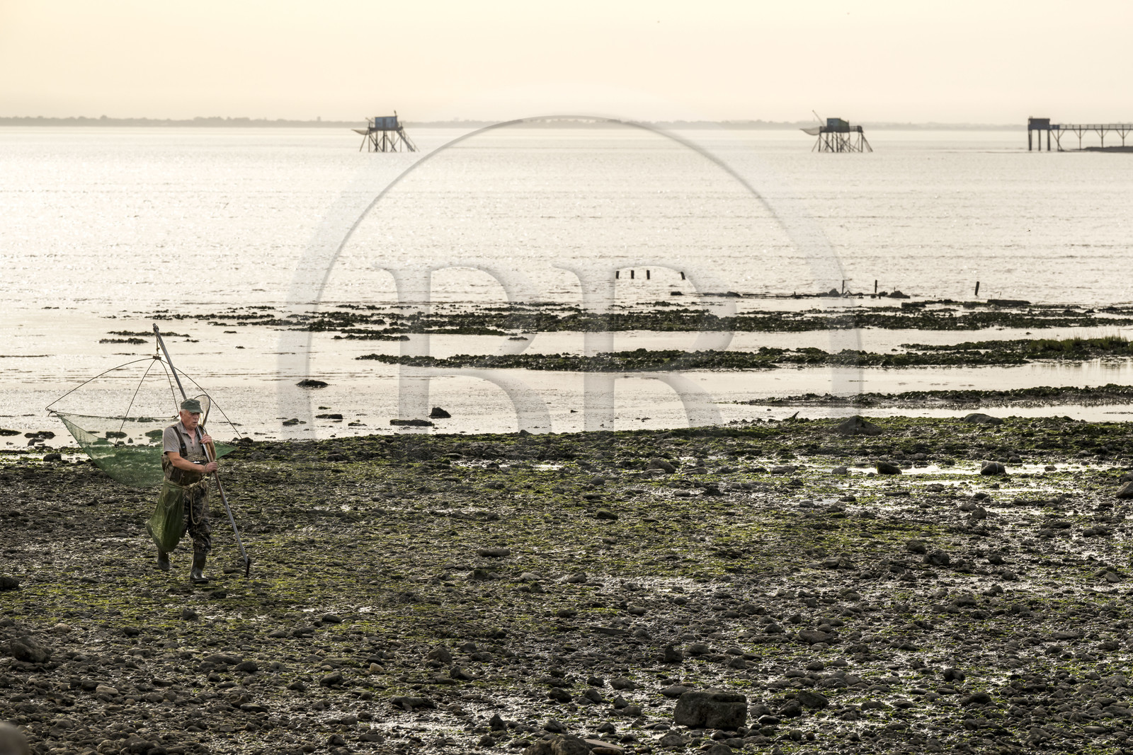France, Charente-Maritime (17), Port-des-Barques, pêcheur au carrelet et cabanes sur pilotis appelées carrelets en arrière plan