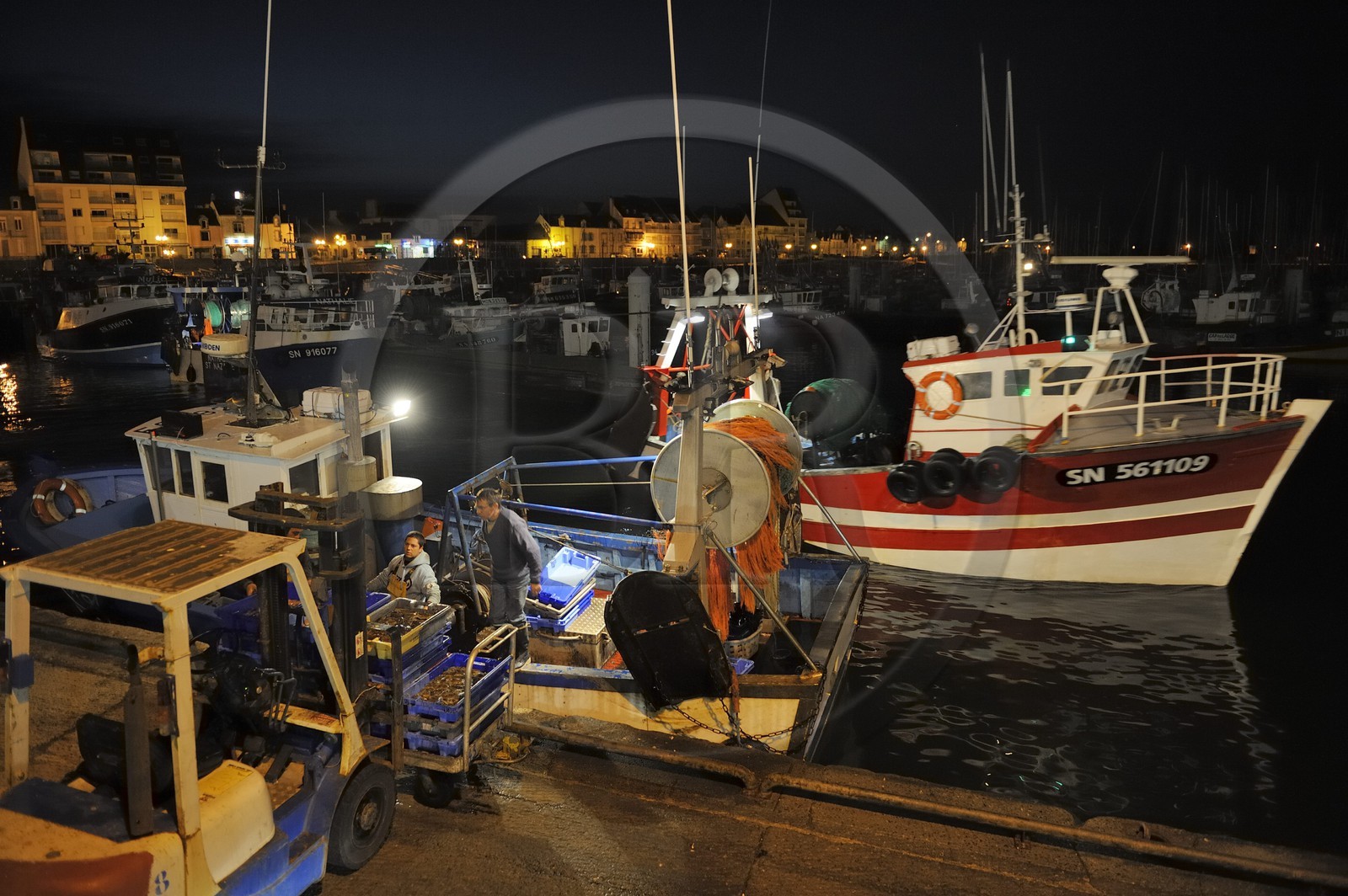 France, Loire-Atlantique (44),  port de La Turballe, retour de pêche au petit matin