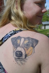 Suède, comté de Dalécarlie, région de Leksand, Sunnanäng, tatouage d'un Parson Russell Terrier sur l'épaule de sa maitresse