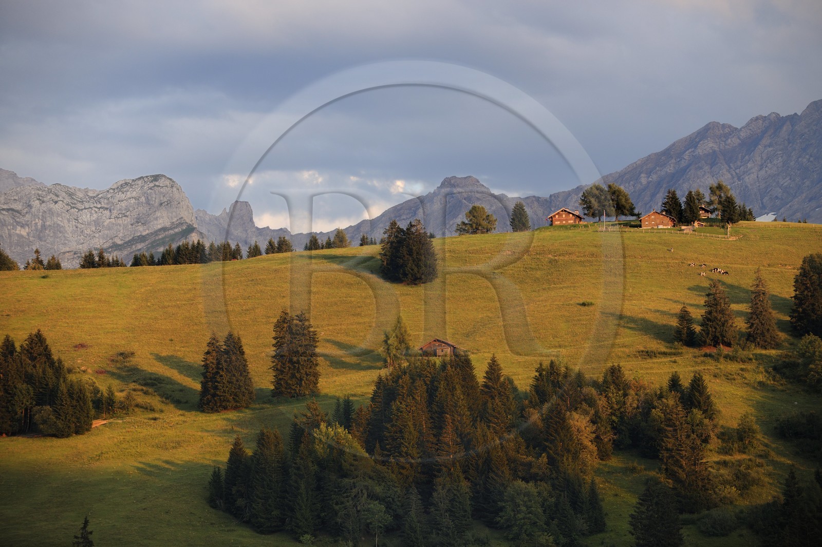 Suisse, canton de Vaud, Villars-sur-Ollon au Col de la Croix