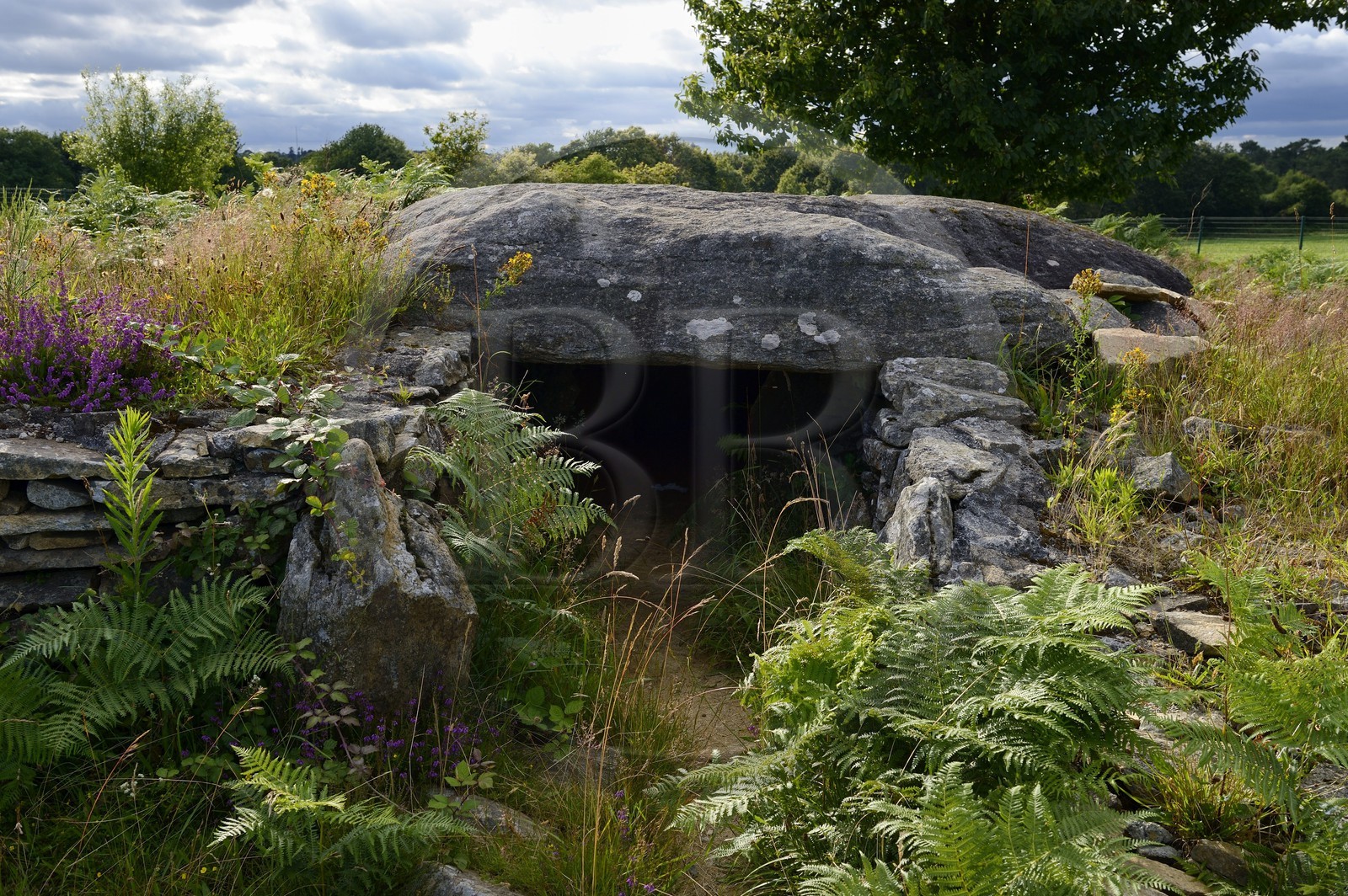 France, Morbihan, Colpo, Larcuste Dolmen