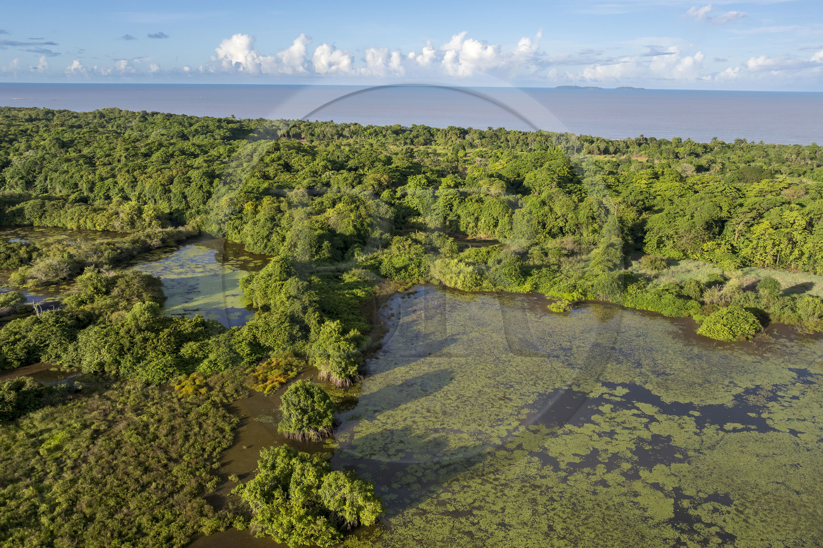 France, Guyane, Kourou, zones humides, forêts et savanes protégées dans l'enceinte du centre spatial et gérées par l'Office National des Forêts (ONF), les Iles du Salut au large en arrière plan (vue aérienne)