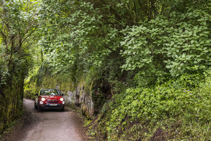 France, Bas-Rhin, Parc regional des Vosges du nord (Northern Vosges Regional Natural Park), La Petite Pierre, the small forest road dug in the sandstone rock at the exit of the village