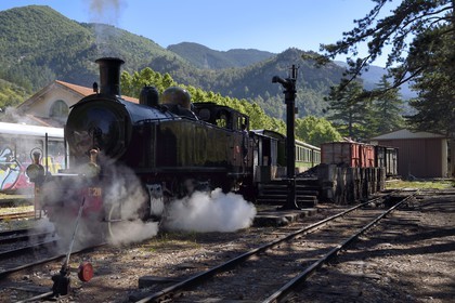 France, Alpes-Maritimes, Puget Theniers, the Train des Pignes historic train enters the station