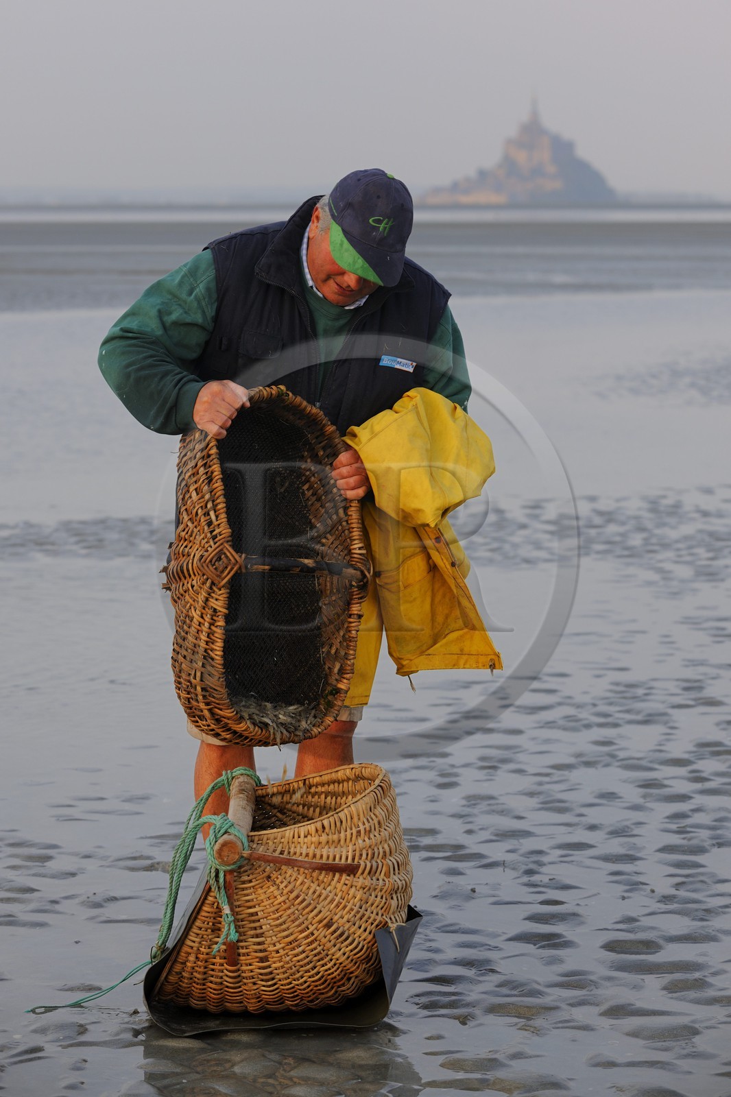 France, Manche (50), Baie du Mont-Saint-Michel, le pêcheur de grève Guy Jugan relevant ses filets de crevettes grises à l'aube