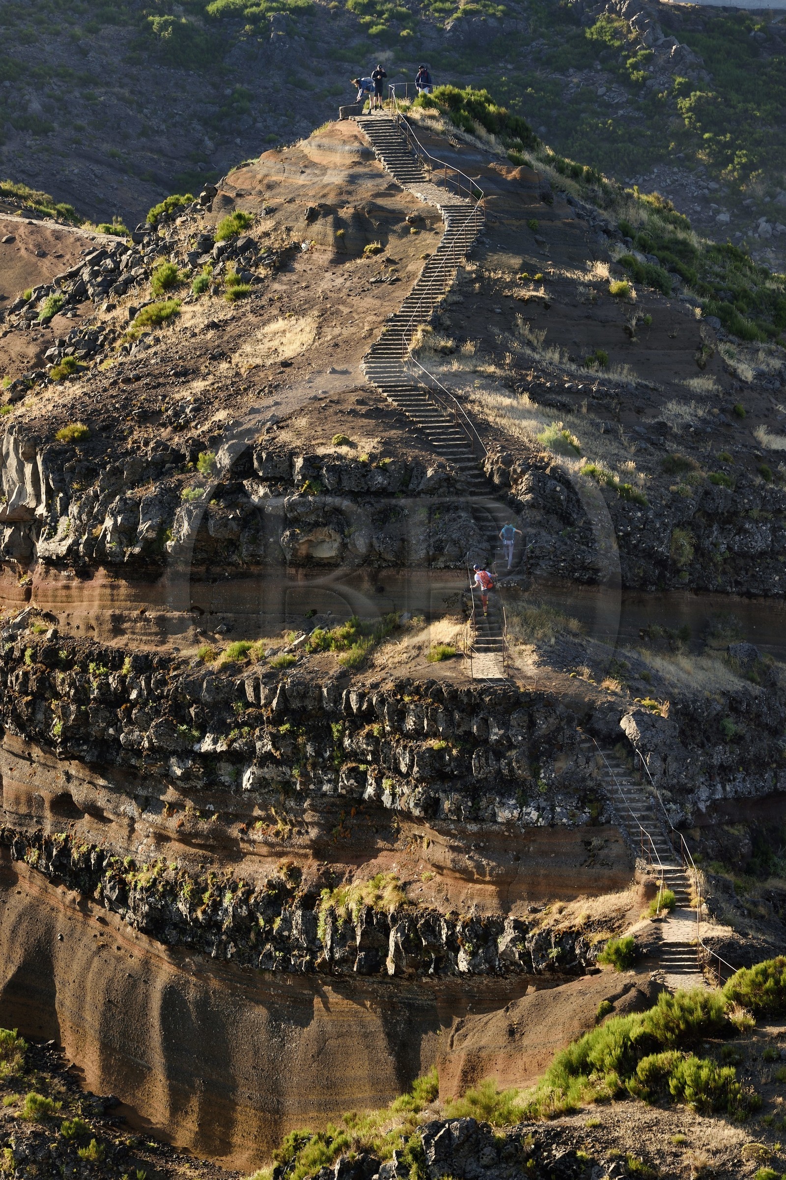 Portugal, Ile de Madère, randonneur sur le sentier du Vereda do Areeiro entre les monts Pico Ruivo (1862m) et Pico Arieiro (1817m), au pied du Pico Arieiro