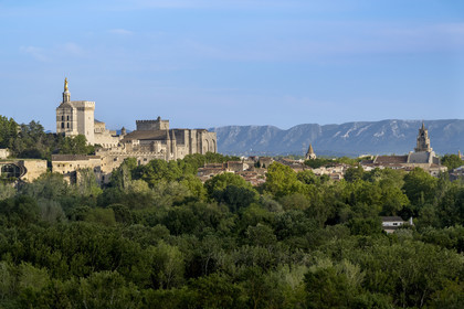 France, Vaucluse (84), Avignon, Palais des Papes classé Patrimoine mondial de l'UNESCO et le massif montagneux des Alpilles en arrière plan