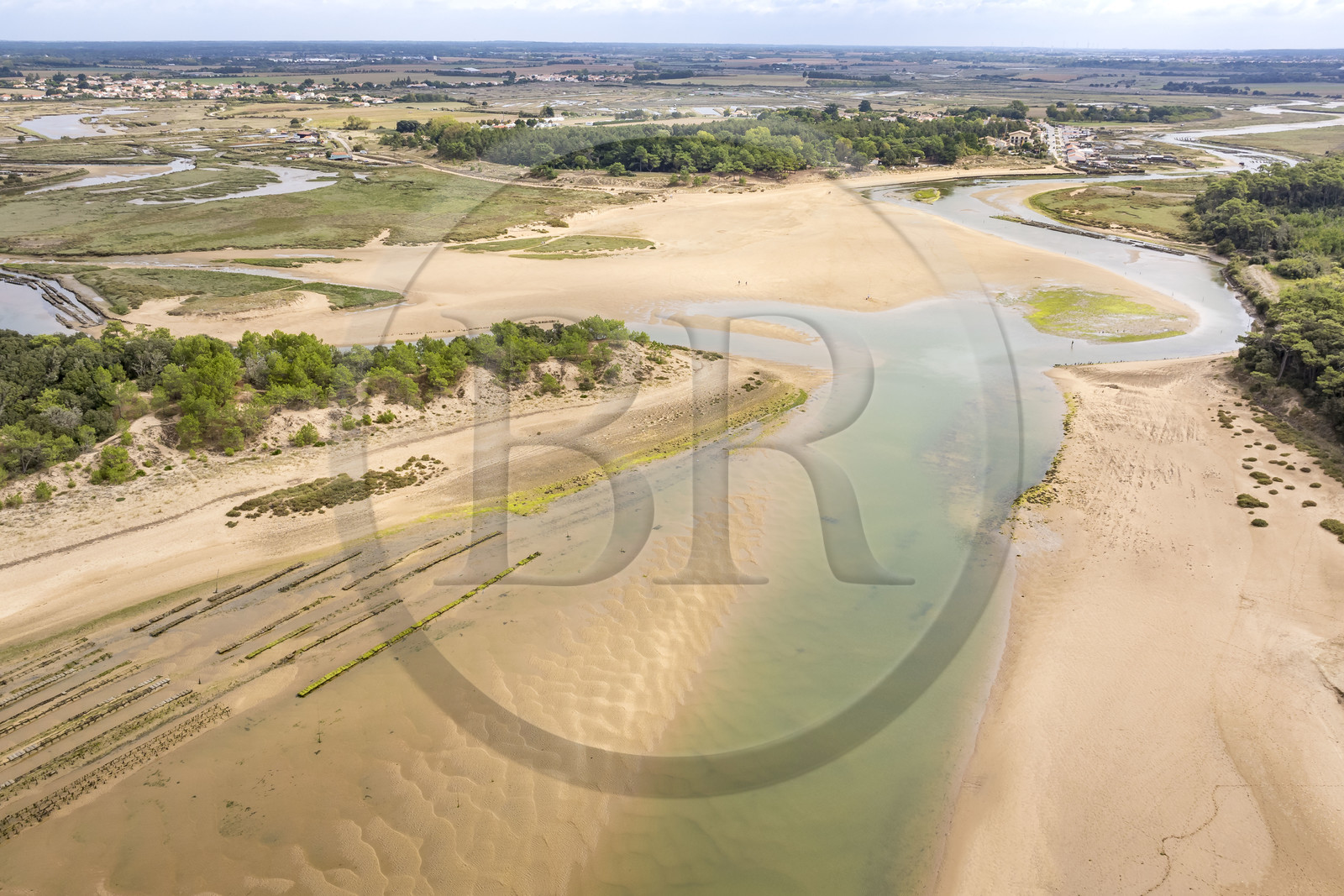 France, Vendée (85), Talmont Saint Hilaire, la Pointe du Payré, the mouth of the Payré river and the oyster farming village port  of La Guittière in the background