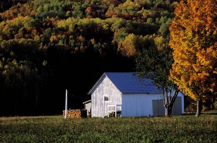 Canada, Quebec Province, Gaspesie, a farm in the region of Carletton