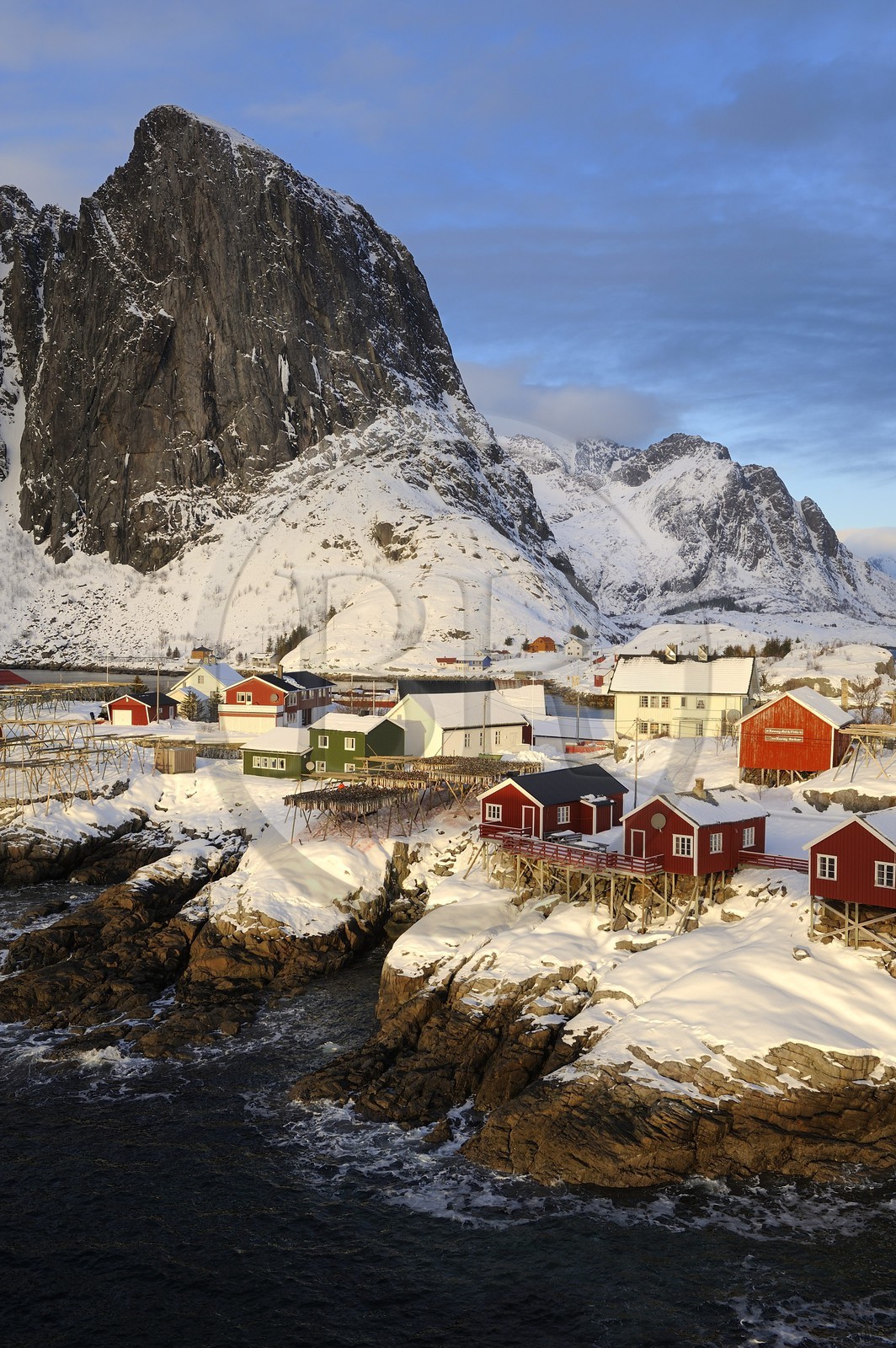 Norvège, Nordland, Iles Lofoten, Ile de Moskenes, le port de pêche de Hamnoy près de Reine, accrochage du cabillaud (morue) pour le séchage