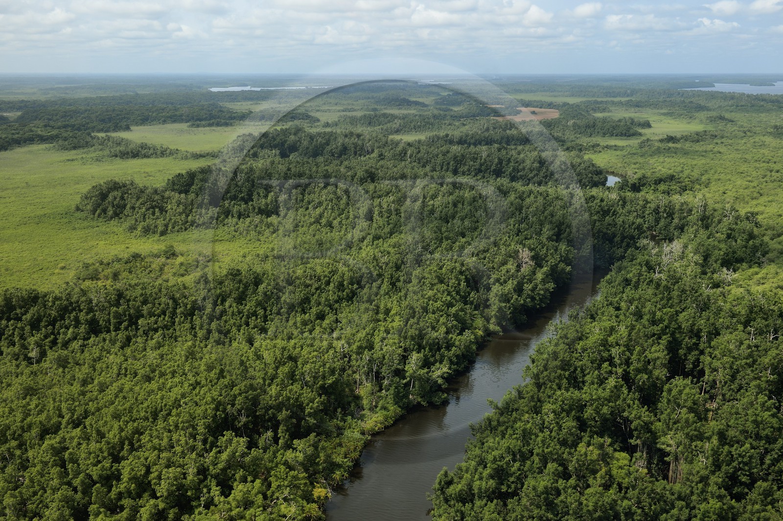 Gabon, Province de Ogooué-Maritime, rivières et forêts du Delta de l'Ogooué (vue aérienne)