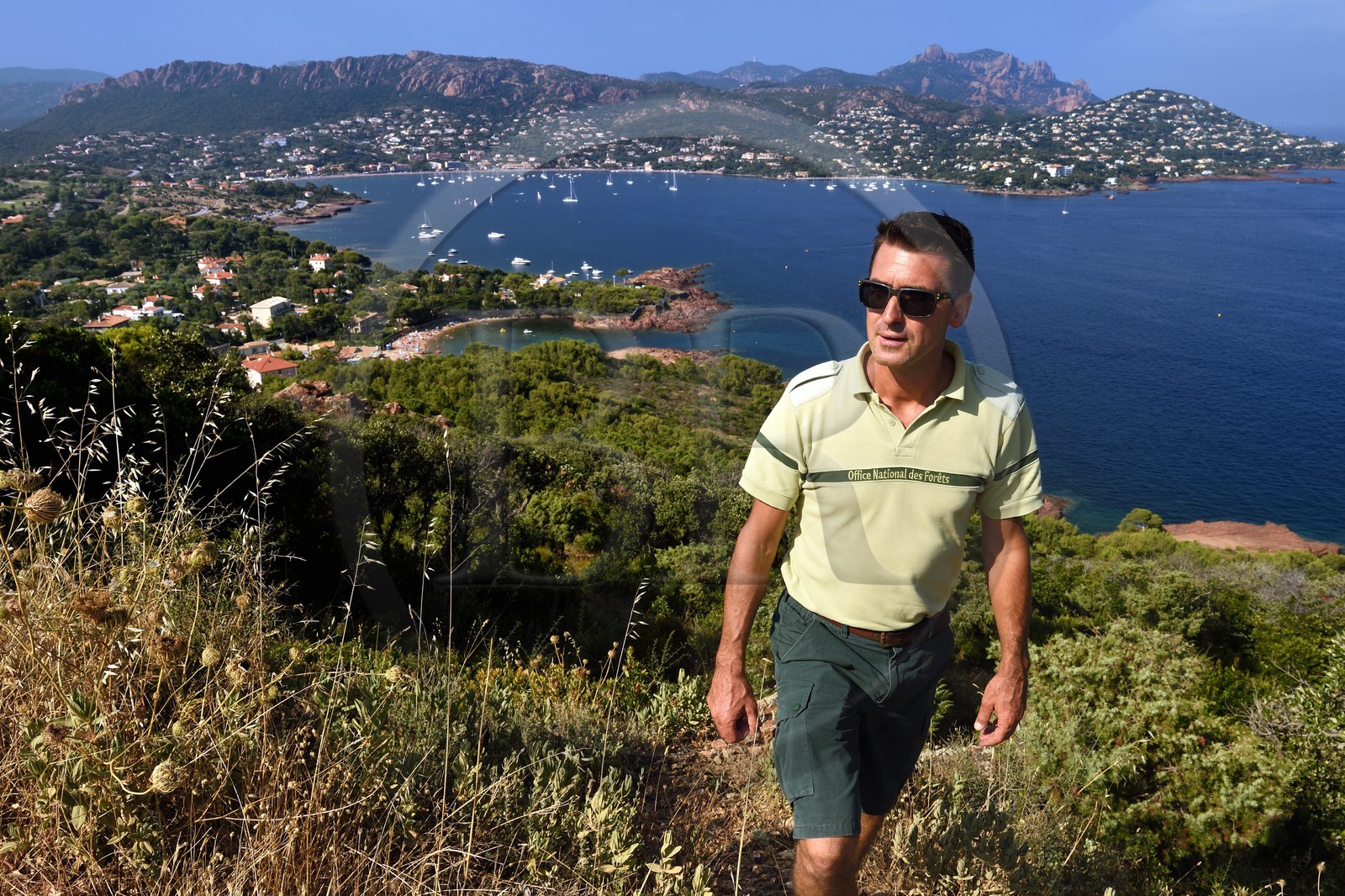 France, Var, Agay area next to Saint-Raphael, Massif de l'Esterel (Esterel Massif), the harbor of Agay and the peak of Cap Roux in the background, Christophe Pint-Girardot agent of the french National Forest Office (ONF)