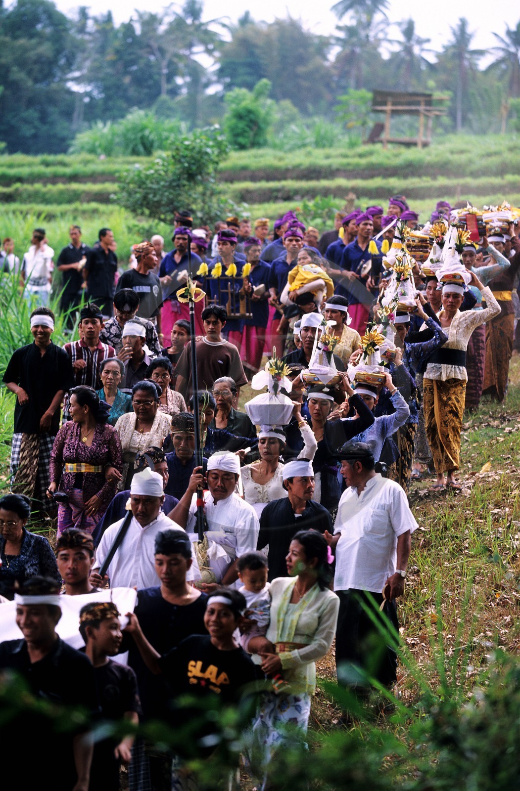 Indonesia, Bali island, procession of funeral in the neighbourhoods of Tirtagangga