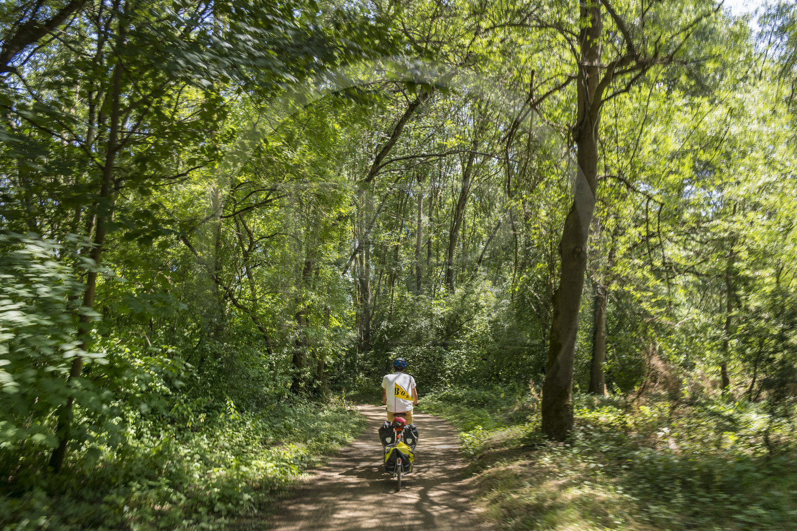 France, Maine-et-Loire (49), vallée de la Loire classée au Patrimoine Mondial par l'UNESCO, Dampierre à l'Est de Saumur, randonnée à bicyclette le long des berges de la Loire sur la piste cyclable La Loire à Vélo, vélo avec une remorque transportant le matériel de camping
