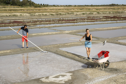 France, Charente Maritime, Port des Barques, Ile Madame, the Ile Madame Aquaculture Farm, Jean Philippe and Gaelle Mineau harvest salt from their saltworks