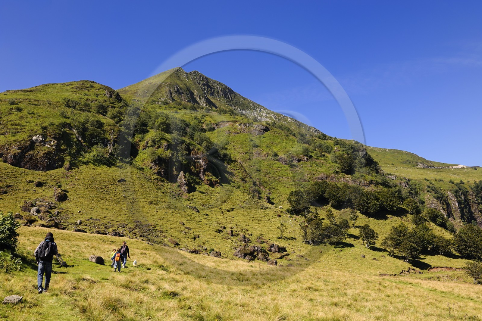 France, Cantal (15), monts du Cantal, Parc Naturel Régional des Volcans d' Auvergne, randonnée au pied de la montagne du Puy-Mary (1783m)